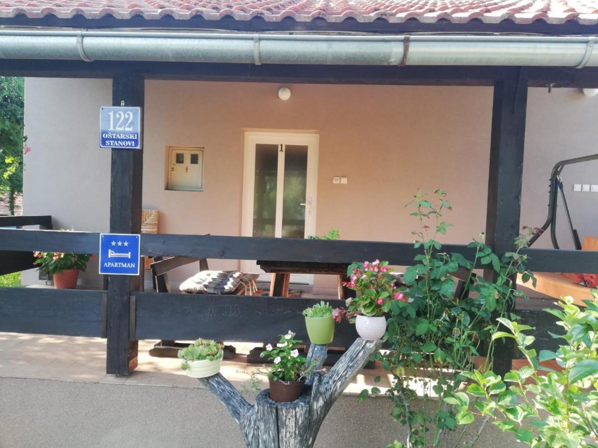 Apartman Adam Rakovica Bagian luar foto