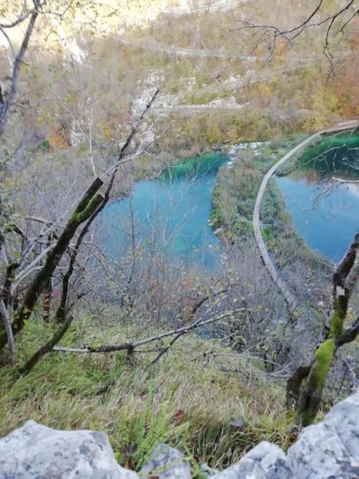 Apartman Adam Rakovica Bagian luar foto