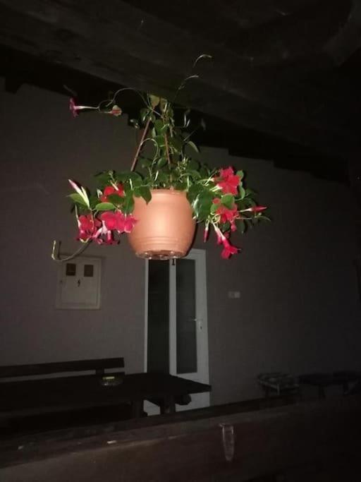 Apartman Adam Rakovica Bagian luar foto
