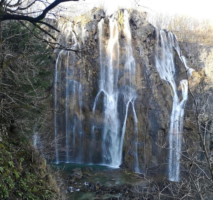 Apartman Adam Rakovica Bagian luar foto