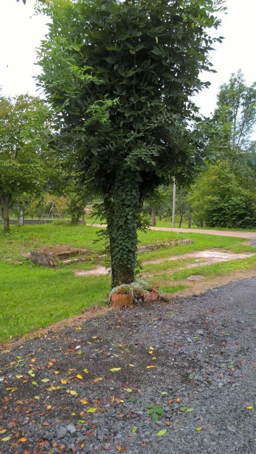 Apartman Adam Rakovica Bagian luar foto