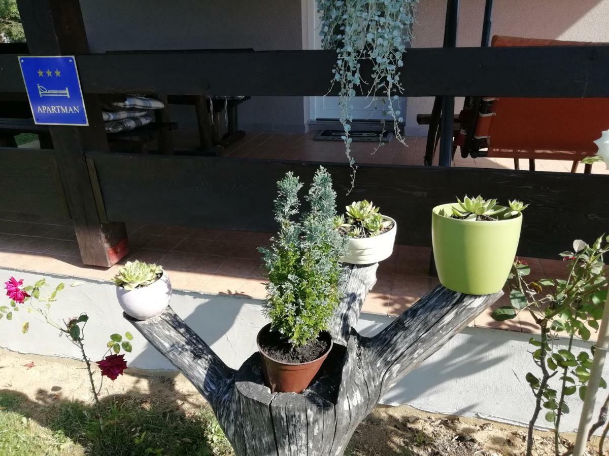 Apartman Adam Rakovica Bagian luar foto