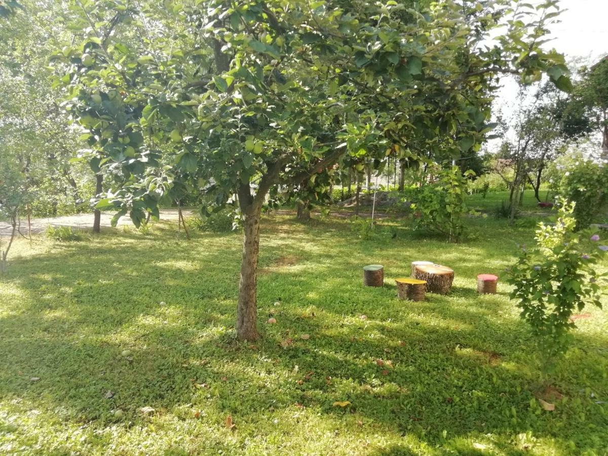 Apartman Adam Rakovica Bagian luar foto