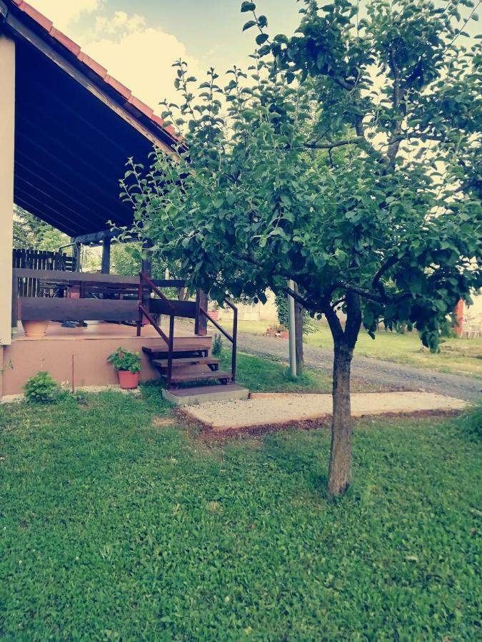 Apartman Adam Rakovica Bagian luar foto